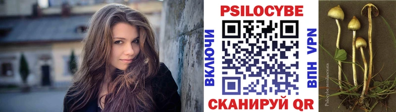 ОМГ ОМГ как зайти  Лаишево  Галлюциногенные грибы Psilocybe 