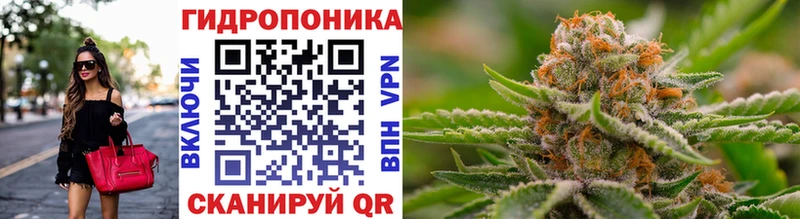 Шишки марихуана OG Kush Лаишево